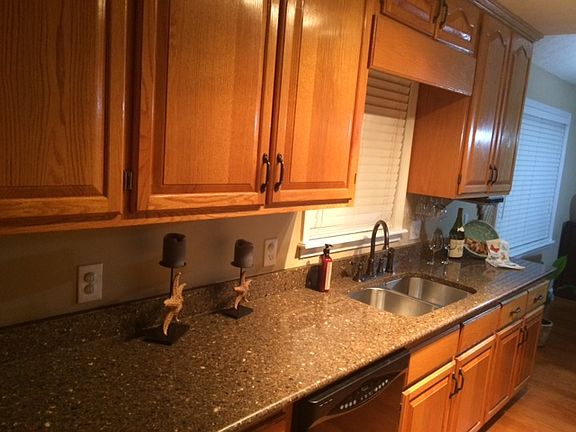 Kitchen Area Photo #1