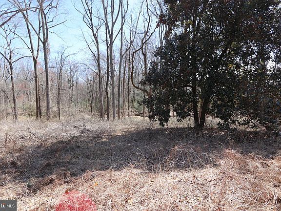 3rd image of 11225 Raby Rd