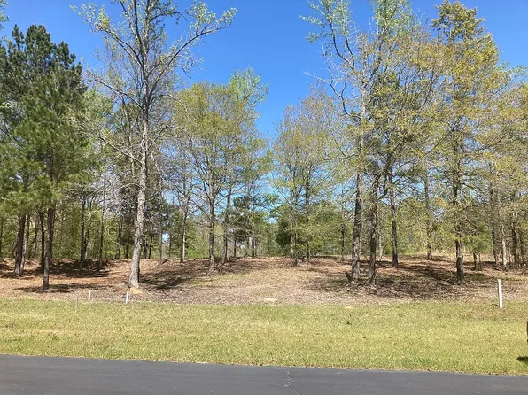 11-12 N Pointe Dr, Tignall, GA 30668