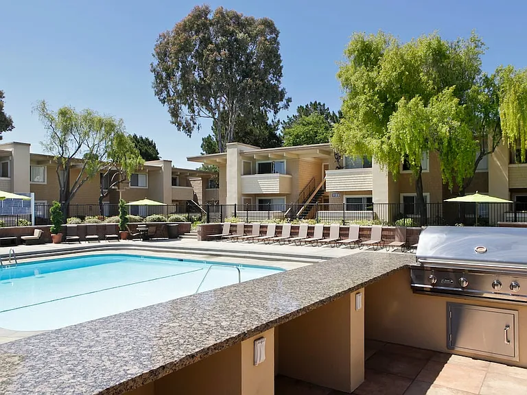 Swimming pool and BBQ area