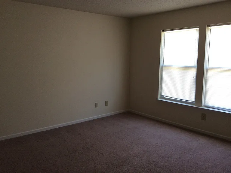 6805 Everbloom Ln — Photo 9