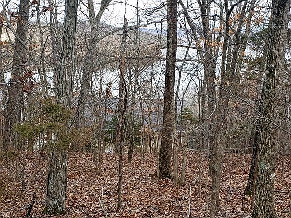 Lake view from property