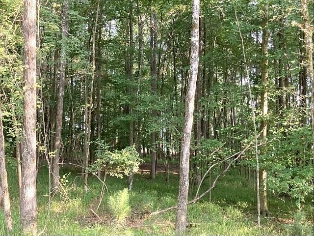 2nd image of 54 Timber Ridge Dr