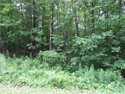 LOT #99 Woods Avenue, Birchwood, WI, 54817