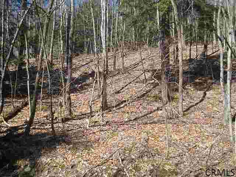 5th image of 0 BURNT HILL Road