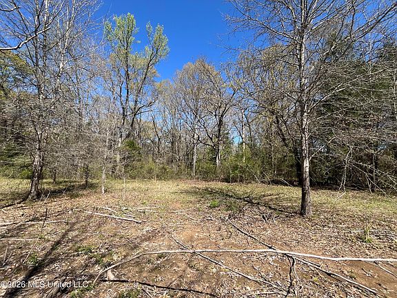 5th image of Raymond Bolton Rd