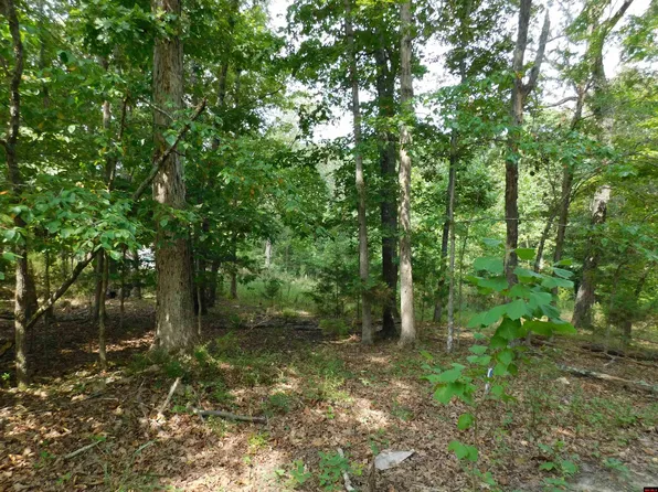 Lots 79 80 81 Hereford Ct, Lakeview, AR 72642