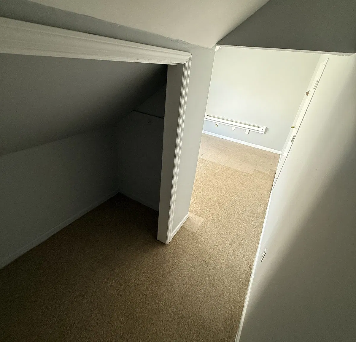 1 bed, 200 sqft, $700 — Photo 4
