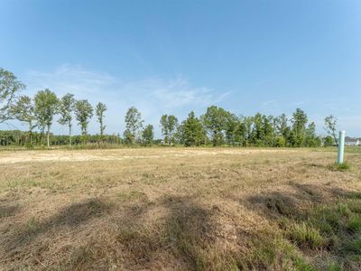 15527 Molly Grace Dr, Prairieville, LA, 70769