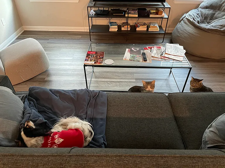 Oakdale Meadows Ln — Photo 1