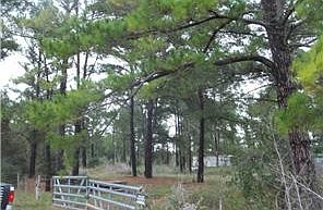 2nd image of 103 Four C Ranch Rd