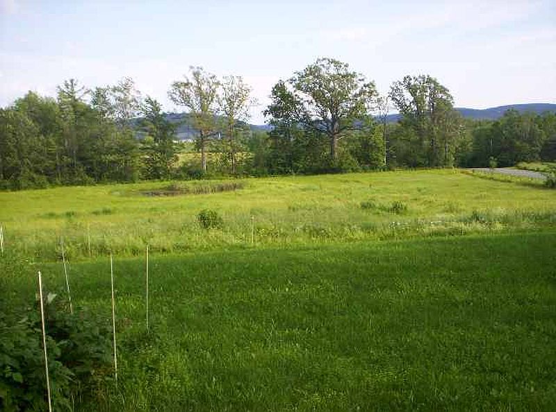 2nd image of 256 ROBINSON Road