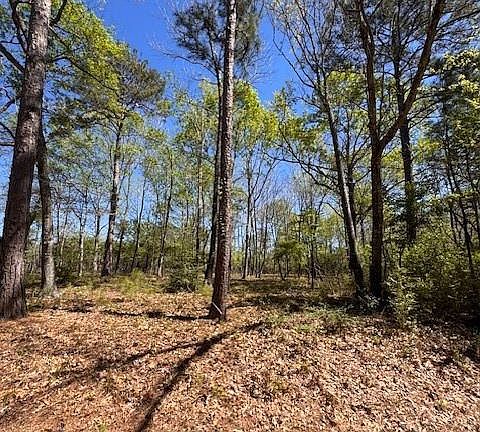 2nd image of 90 S Pine Harbour Dr