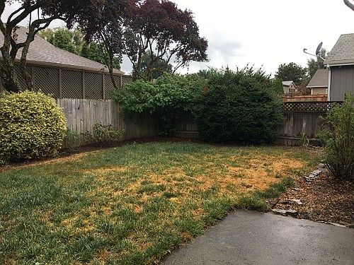 2nd image of 825 Sieverkropp Dr