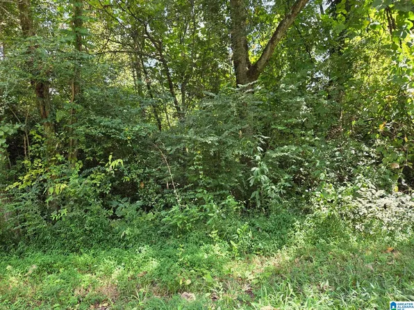 0 Finley Ave #10, Sylacauga, AL 35150