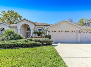 13424 Whitehaven Ct, Spring Hill, FL 34609