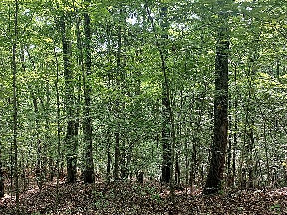 4th image of 0 Shady Knoll Rd #1.50
