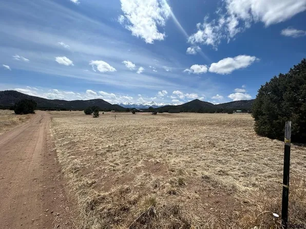 1863 10th Trl, Cotopaxi, CO 81223