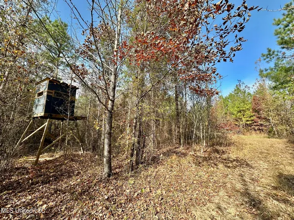 3 County Road 3122, Mc Cool, MS 39108