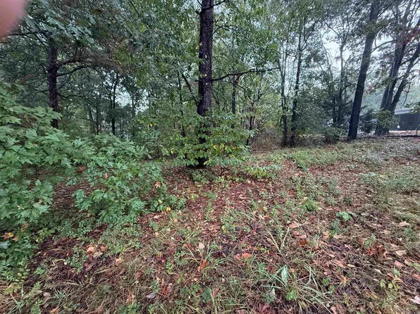 0 Mountain Home Rd, Paragould, AR 72450