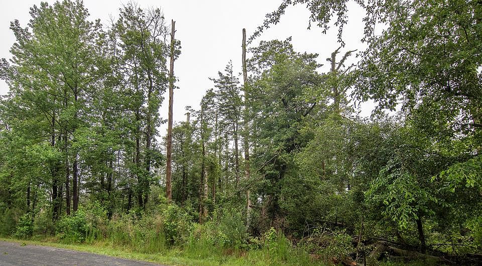 1st image of LOT 704 Castaway Dr