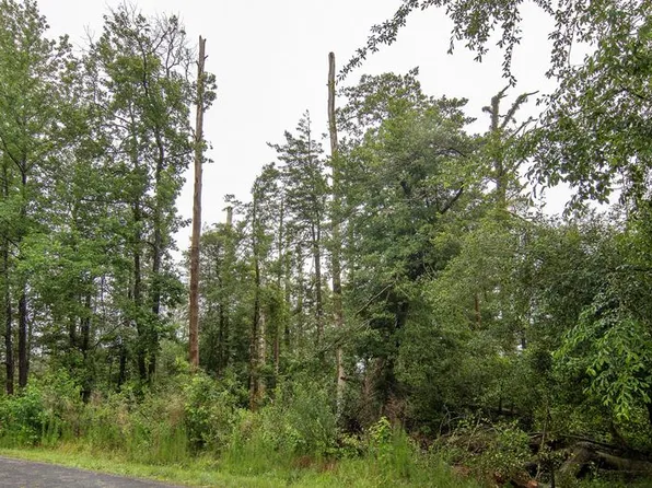 LOT 704 Castaway Dr, Greenbackville, VA 23356