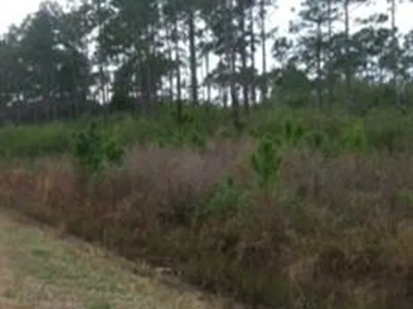 Sopchoppy Hwy, Sopchoppy, FL 32358