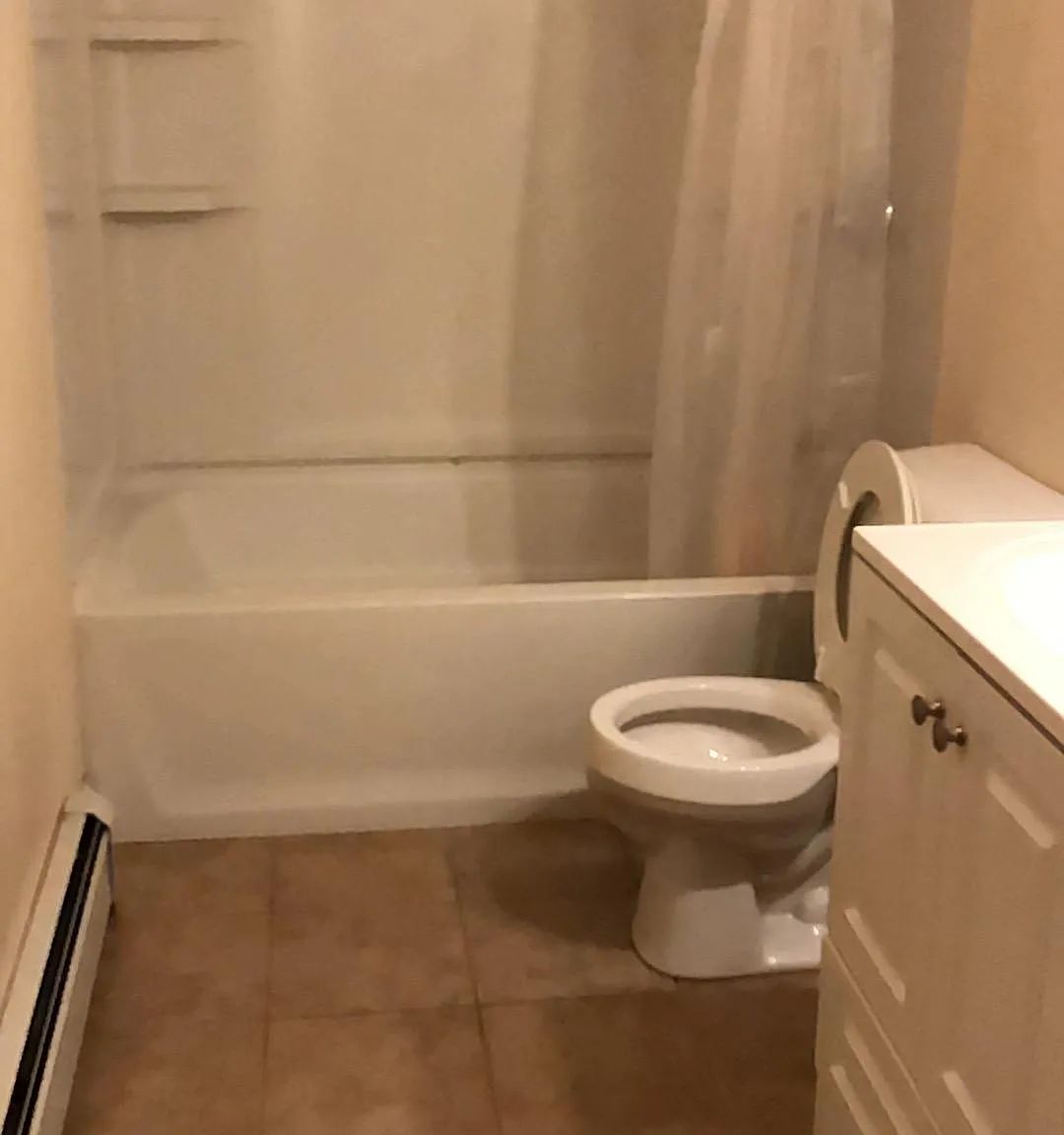 1 bed, 700 sqft, $1,950 — Photo 3