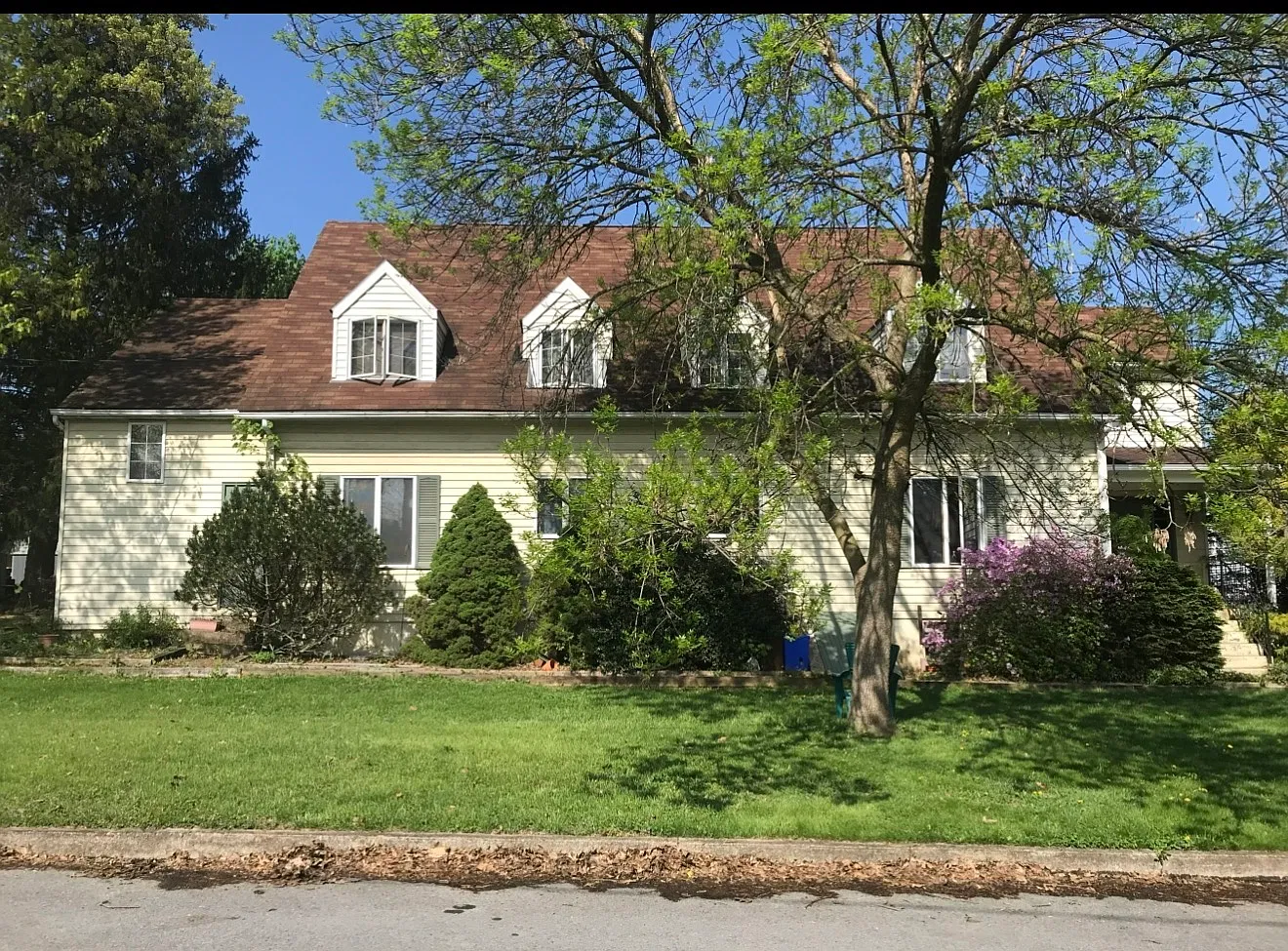 1 bed, 650 sqft, $1,095 — Photo 3