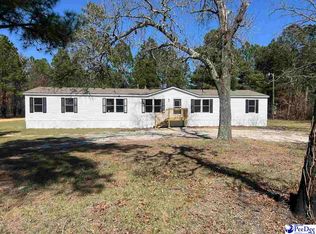 1238 Pee Dee Church Rd, Dillon, SC 29536