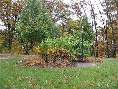 2nd image of 18 Scotts Dr