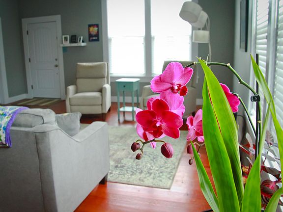 2nd image of 406 Church St #312