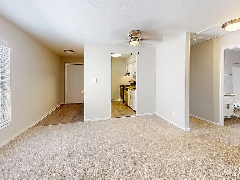 Bright and airy apartment interior featuring a cozy living room with plush carpet, large window for natural light, and an adjacent modern kitchen with sleek appliances.