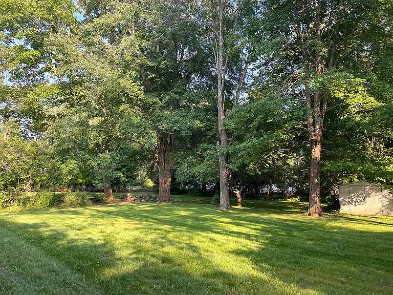 370 Wallis Rd — Photo 31