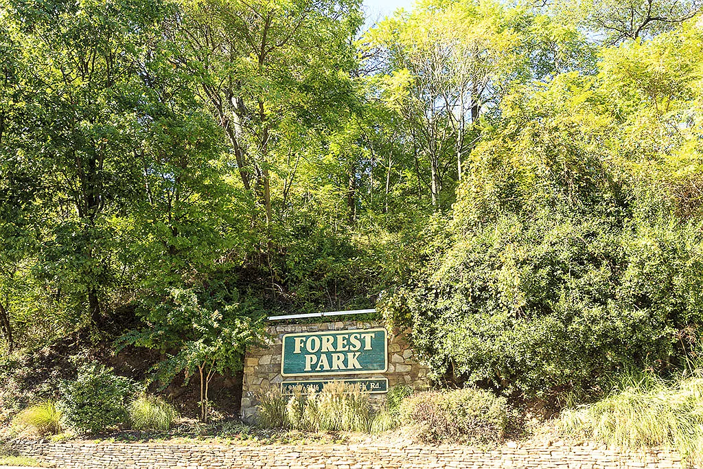 Forest Park — Photo 4