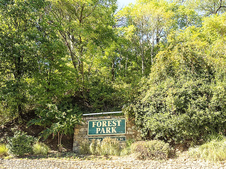Forest Park — Photo 4