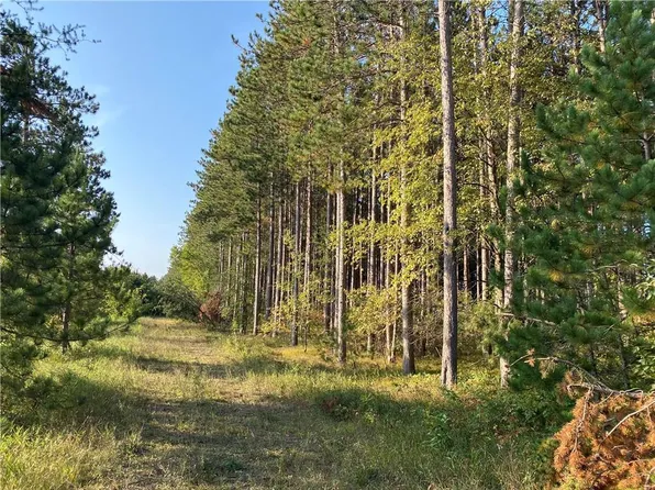 Lot 2 Jenny Ln, Hayward, WI 54843