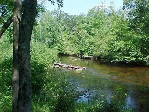 6254 Abbey Ln, Stanwood, MI 49346