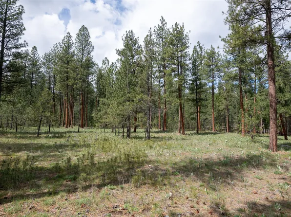 5508 Trenk Way, Florence, MT 59833