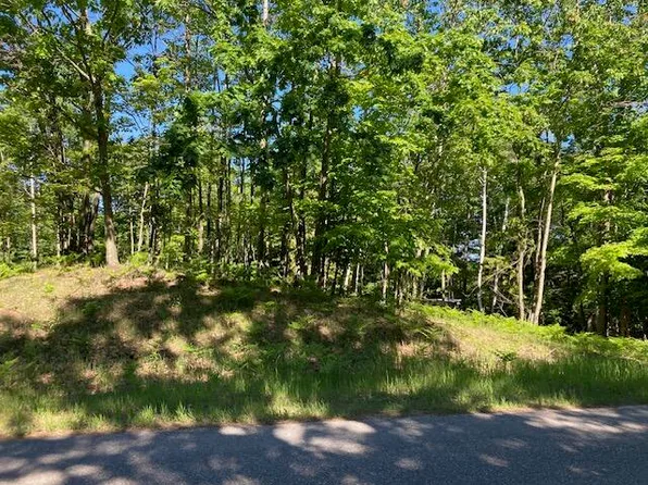 Vacant Herkelrath Rd, Onekama, MI 49675