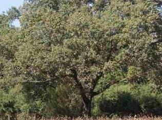 581 Iron Bridge Rd, Samson, AL 36477