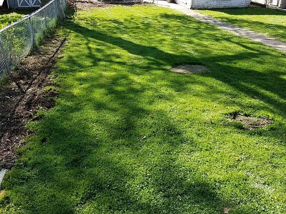 Lawn