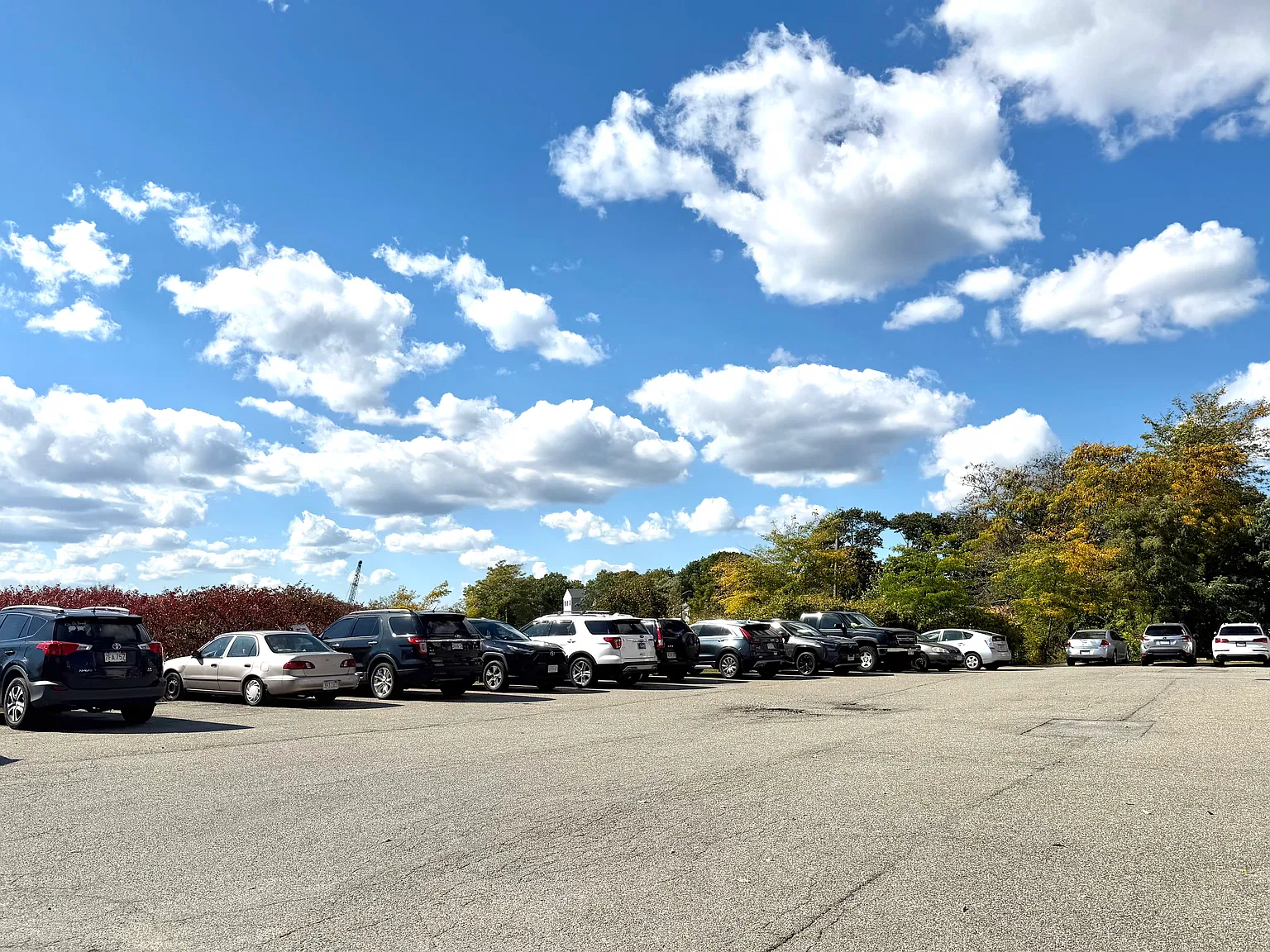 1 bed, 782 sqft, $2,000 — Photo 4