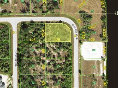 10005 LONG BEACH STREET LOT 8, Pt Charlotte, FL, 33981
