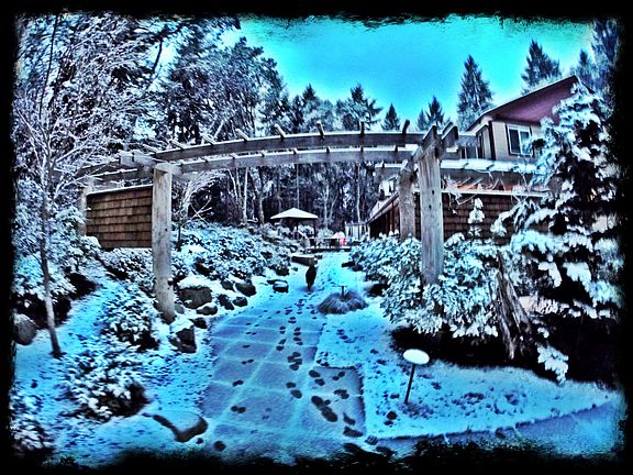 Even 1/2" of snow is magical