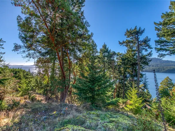980 Palisades Drive, Orcas Island, WA 98245