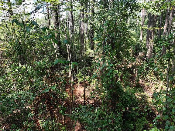 3rd image of Dooley Dr