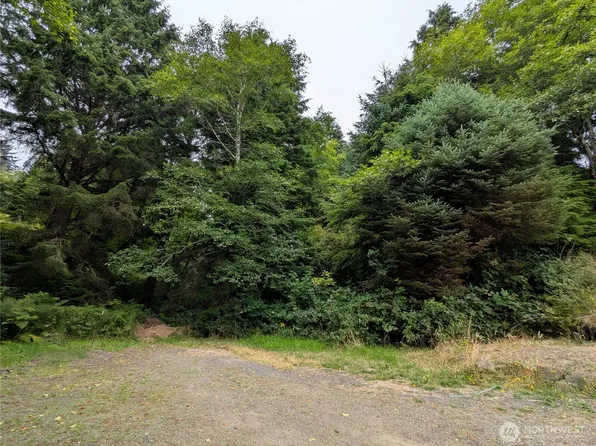 0 LOT 14 Lamontay Place, Ilwaco, WA 98624