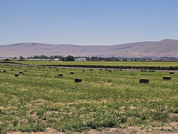 3rd image of 125498 W McCreadie