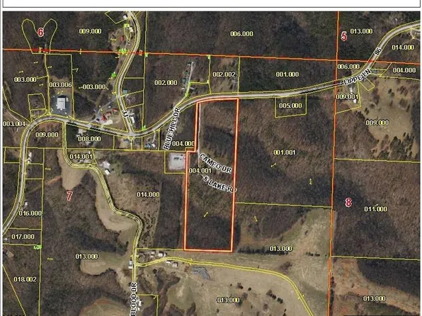 217 S Lake Road, Blue Eye, MO 65611